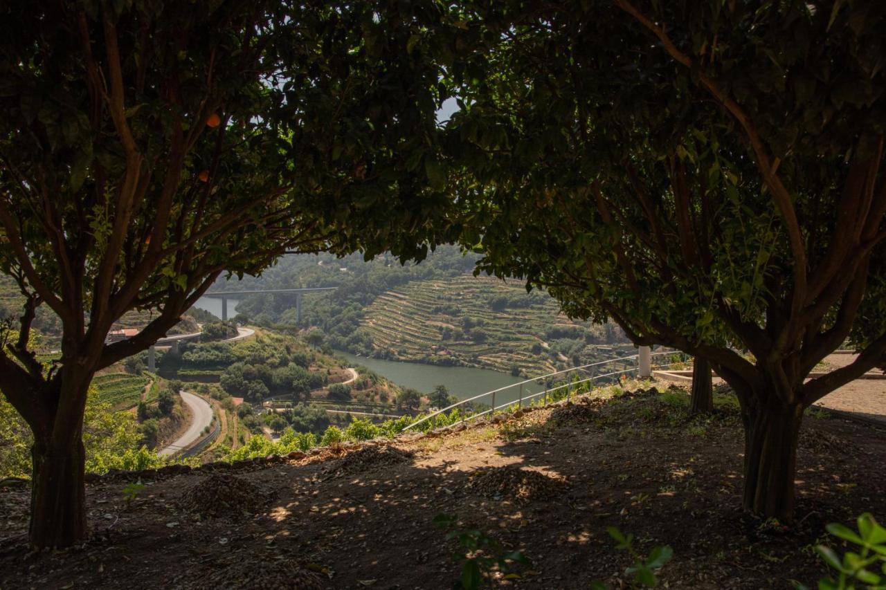 Quinta Da Granja Apartman Baião Kültér fotó