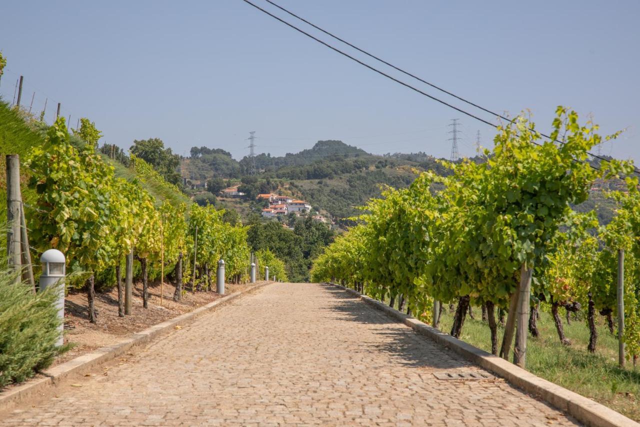 Quinta Da Granja Apartman Baião Kültér fotó